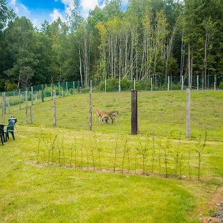 Secluded In Chalet *