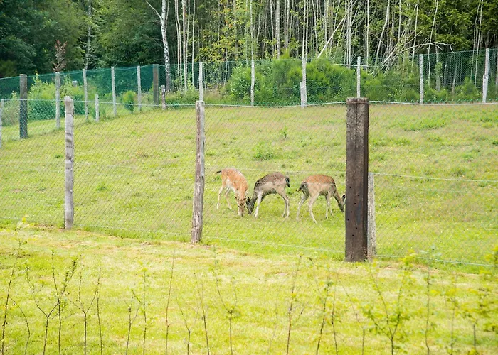 Secluded In Dağ evi Rogery